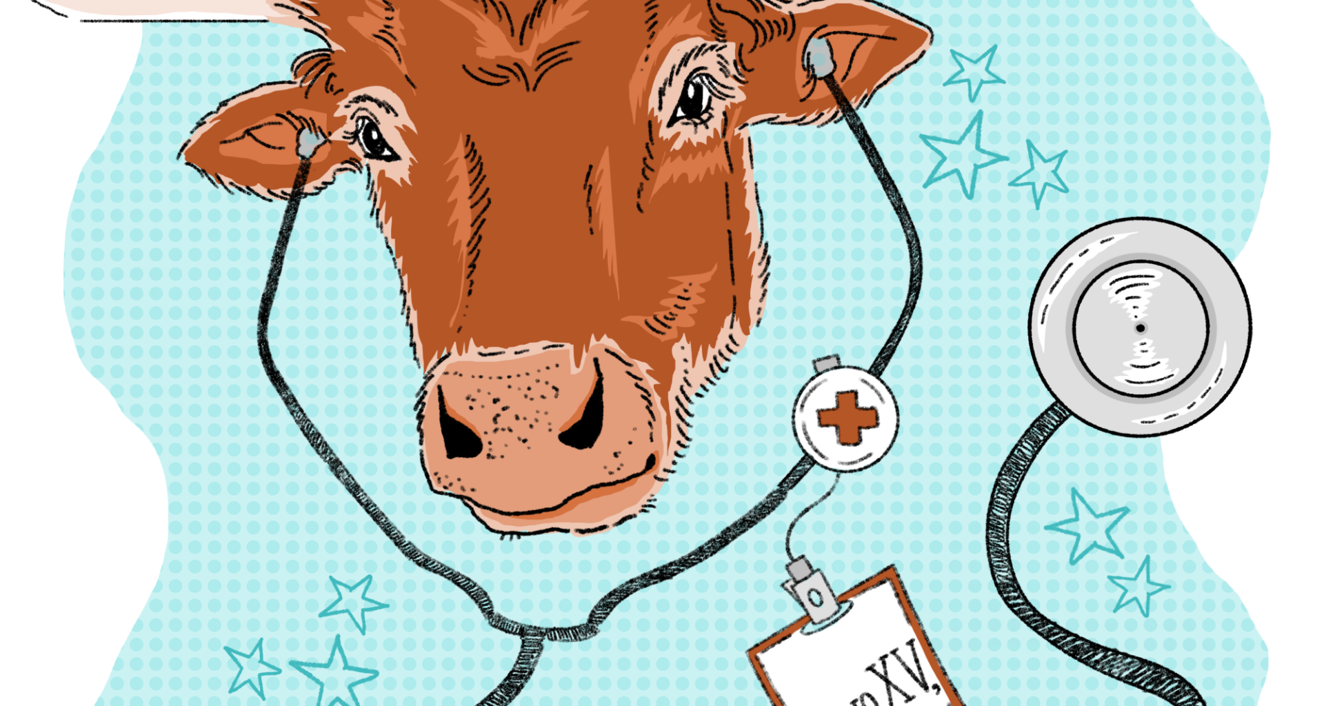 Dell Med graduates its sixth class with 100% residency matches – The Daily Texan