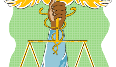 State funding awarded to UT to support forensic psychiatry training fellowship – The Daily Texan