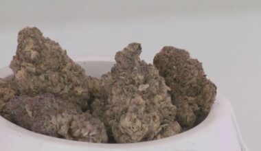 Texas judge temporarily blocks state ban on smokable hemp and THC products