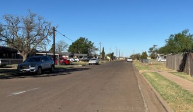 Elderly woman injured in ‘aggressive dog attack’, city says