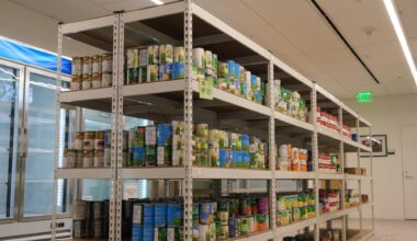 Examining food access at UT – The Daily Texan