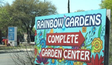 Rainbow Gardens has two locations in San Antonio, one on the northeast side and another near Leon Valley on the west side. (Andrew Creelman/Community Impact)