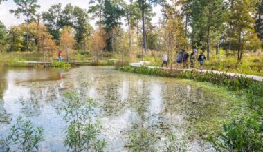 Visitors can stop by the Houston Arboretum for free year-round. (Courtesy Christina Spade)