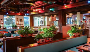 Gringo's Mexican Kitchen's Cibolo location will feature a dine-in area and a cantina with a full cocktail menu, restaurant officials said. (Courtesy Gringo's Mexican Kitchen)