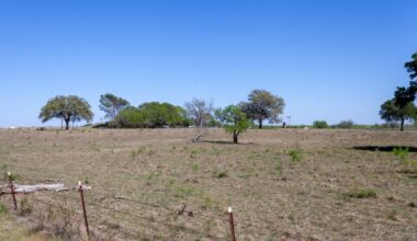 Guadalupe County commissioners voted against a property tax abatement for a data center that would be located at 2955 Francis Harris Lane in New Braunfels. (Ethan Thomas/Community Impact)