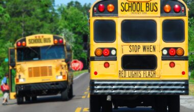 State Bill 546 will require all school buses to feature three-point seatbelts for every passenger by Sept. 1, 2029. (Courtesy Adobe Stock)