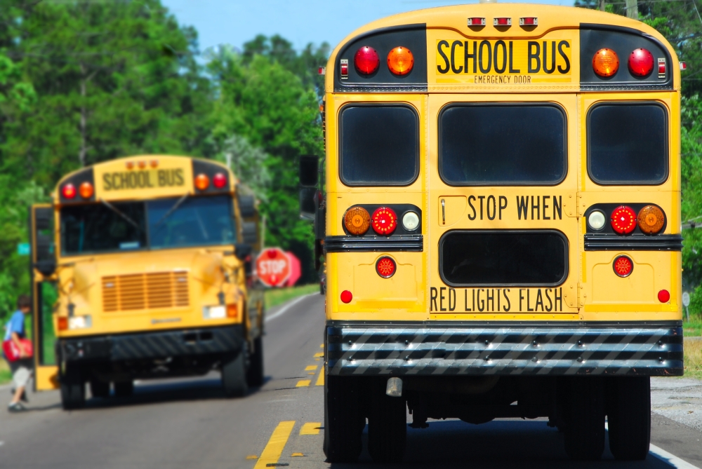 State Bill 546 will require all school buses to feature three-point seatbelts for every passenger by Sept. 1, 2029. (Courtesy Adobe Stock)