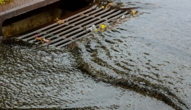 The Taylor Gully Channel Conveyance Improvements and Woodridge Stormwater Detention Basin project aims to reduce the risk of flooding in Kingwood through a combination of channel conveyance improvements and a stormwater detention basin. (Courtesy Adobe Stock)