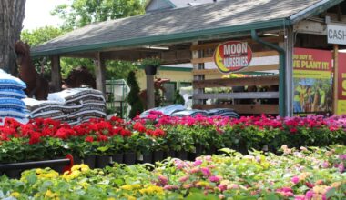 Moon Valley Nurseries is now open in Frisco at 7401 Coit Road. (Jacquelyn Burrer/Community Impact)