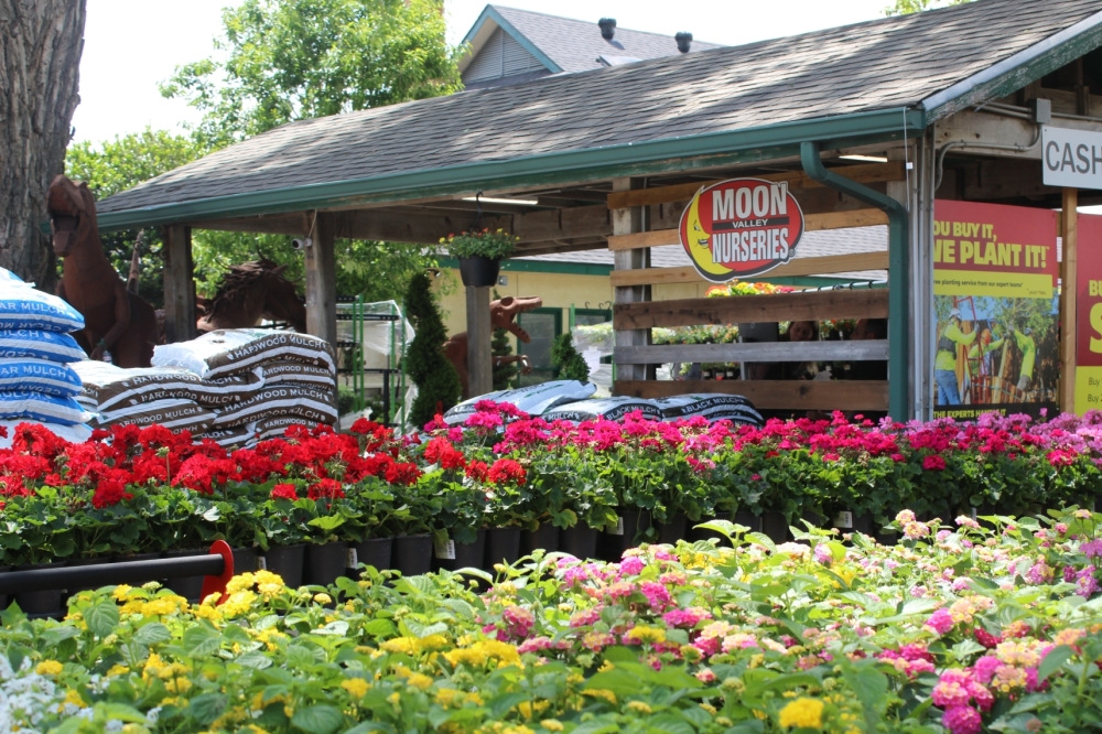 Moon Valley Nurseries is now open in Frisco at 7401 Coit Road. (Jacquelyn Burrer/Community Impact)