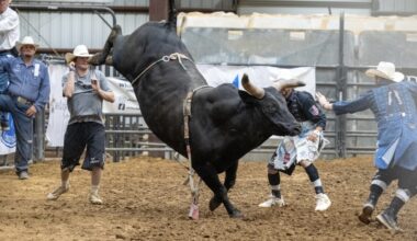 Dripping Springs Fair and Rodeo will take place May 22-24 and feature mutton busting and more. (Courtesy Dave Wilson)