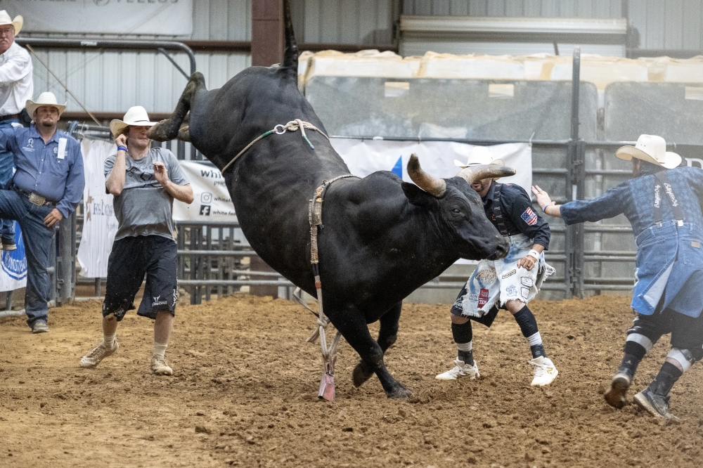 Dripping Springs Fair and Rodeo will take place May 22-24 and feature mutton busting and more. (Courtesy Dave Wilson)