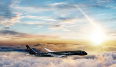 airplane in the sky