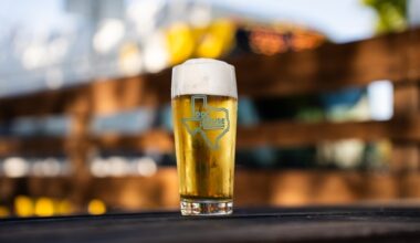 Glass of beer featuring Odd Muse branding.