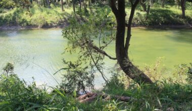 The Austin Parks and Recreation departments plans for the new parkland to include trails along Onion Creek. (Community Impact staff)