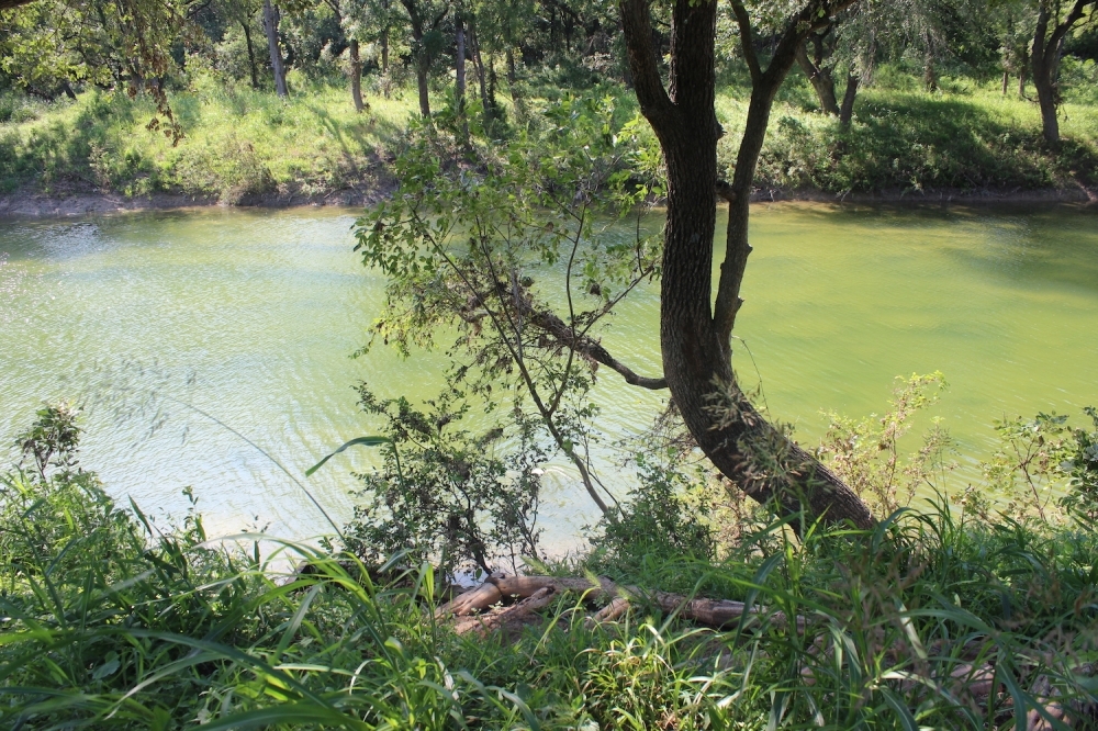 The Austin Parks and Recreation departments plans for the new parkland to include trails along Onion Creek. (Community Impact staff)