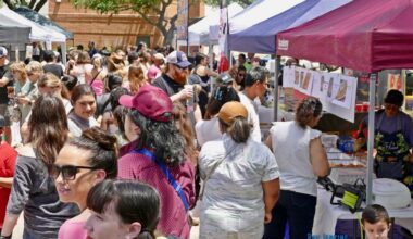 The Kingwood Anime Festival will include a cosplay competition, a ramen-eating contest, a voice actor impression contest, a lion dance and live entertainment. (Courtesy Kingwood Anime Festival)