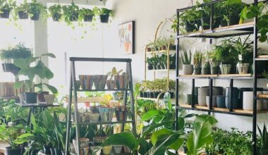 Habitat Plants   Coffee's original location opened downtown McKinney in 2021. (Courtesy Habitat Plants   Coffee)