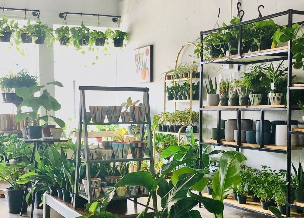 Habitat Plants   Coffee's original location opened downtown McKinney in 2021. (Courtesy Habitat Plants   Coffee)