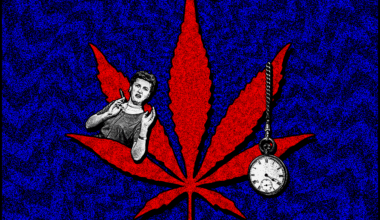Turbulent Times for the Texas Hemp Industry • The Austin Chronicle