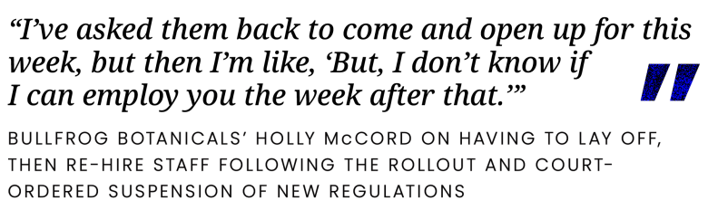 "I’ve asked them back to come and open up for this week, but then I’m like, ‘But, I don’t know if I can employ you the week after that.’”
– Bullfrog Botanicals' Holly McCord on having to lay off, then re-hire staff following the Rollout and court-ordered suspension of new regulations