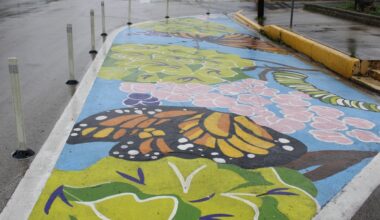 City staff began removing pavement artwork April 22 to comply with a Texas Department of Transportation directive. (Michael Milliorn/Community Impact)