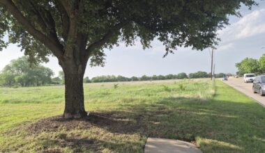 The new 50-lot development will be located north of Meadows Baptist Church and across the street from Plano East Senior High School. (Patricia Ortiz/Community Impact)