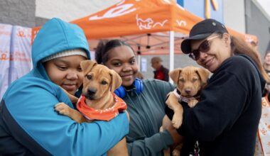 Best Friends Animal Society and Walmart are partnering to hold a pet adoption event on May 2. (Courtesy Best Friends Animal Society)
