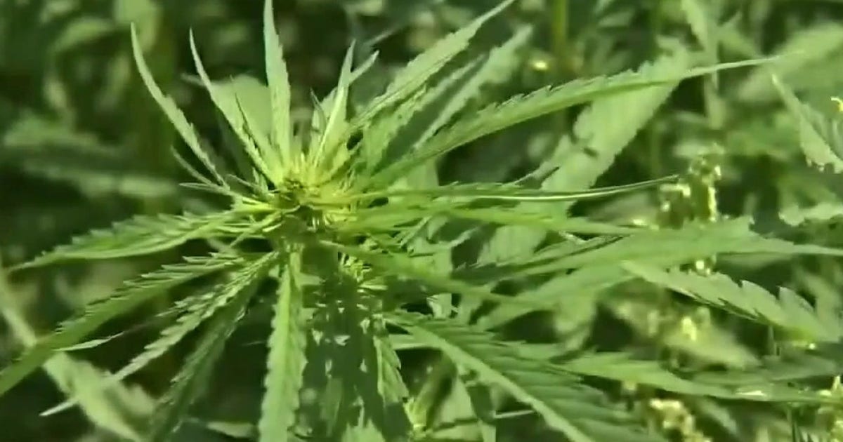 New Texas TCH regulations: Lawsuit set to be filed