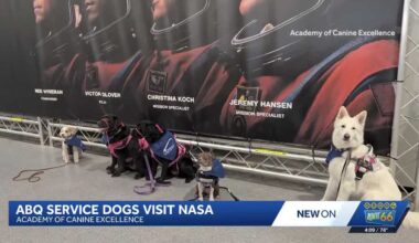 Service dogs from New Mexico tour NASA's mission control in Houston