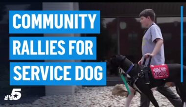 Plano community rallies to get 5th grader a life-saving companion – NBC 5 Dallas-Fort Worth