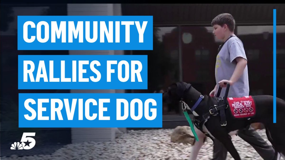 Plano community rallies to get 5th grader a life-saving companion – NBC 5 Dallas-Fort Worth