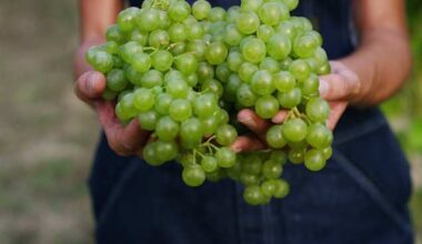 Celebrate Earth Month by sipping sustainably!