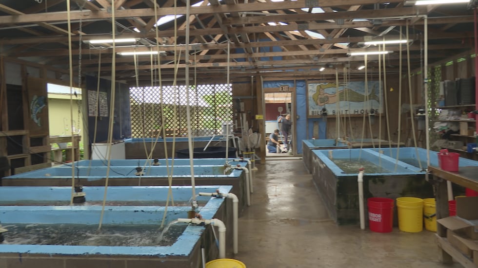 Bait Barn Fisheries is located at 2704 E, TX-21, Bryan, TX 77803.