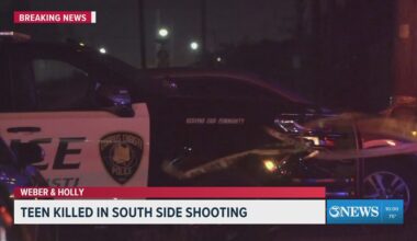 17-year-old killed in south side shooting