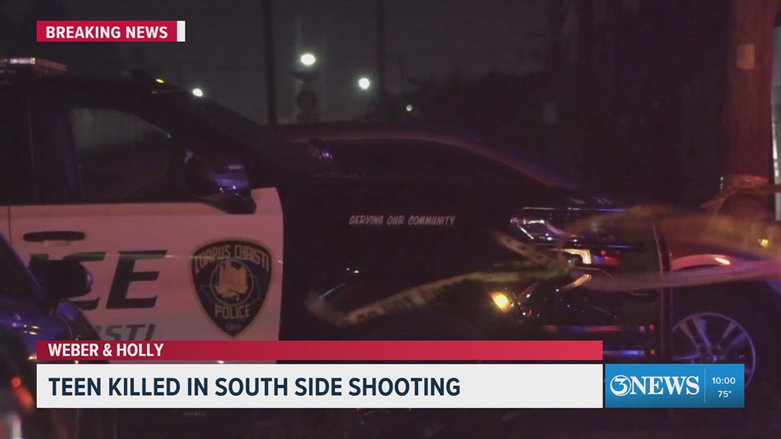 17-year-old killed in south side shooting