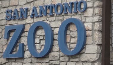 San Antonio Zoo offers $8 tickets to Bexar County residents on Friday for Locals Day