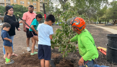 Texas Organ Sharing Alliance marks donors’ legacy with San Antonio tree dedication