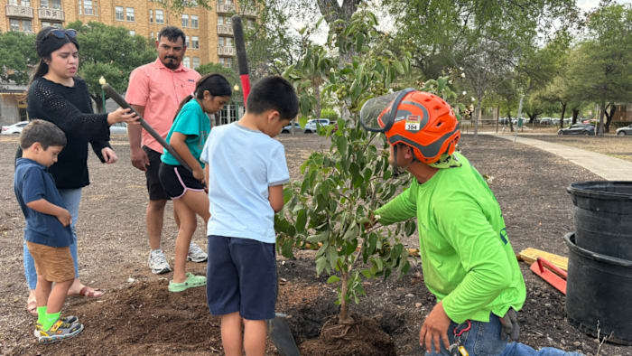 Texas Organ Sharing Alliance marks donors’ legacy with San Antonio tree dedication