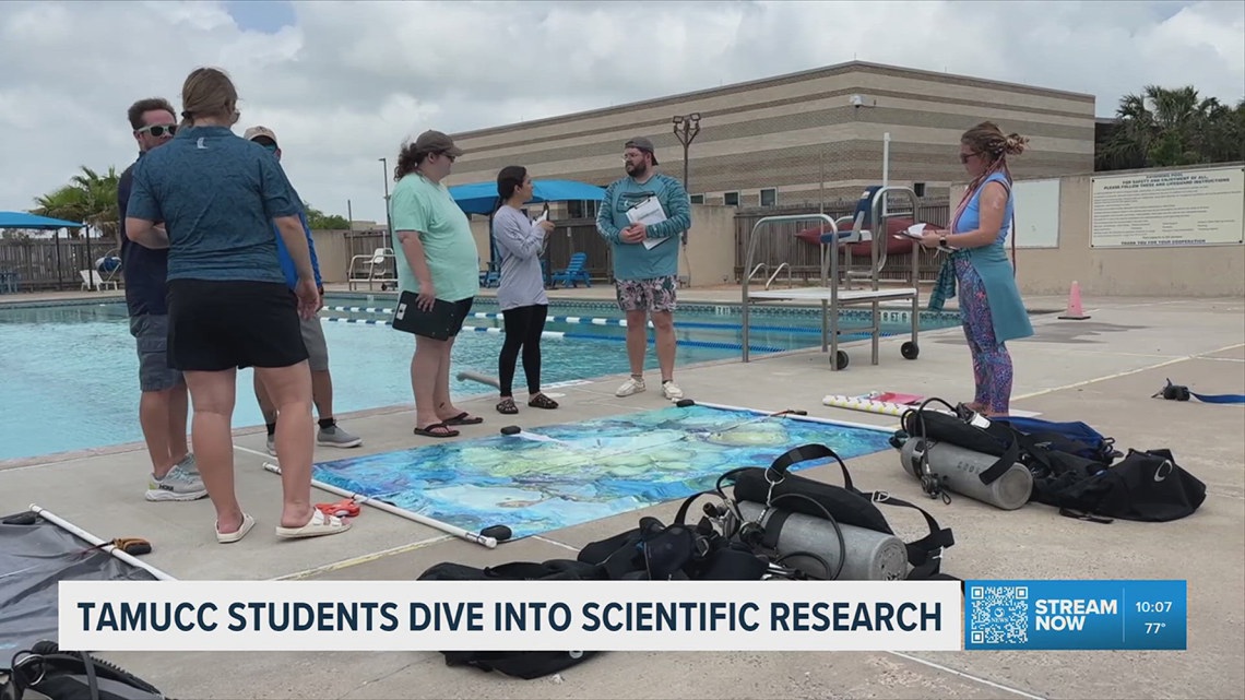 'We want to make sure that they're there for future generations' Texas students train to study and protect reefs off the Third Coast