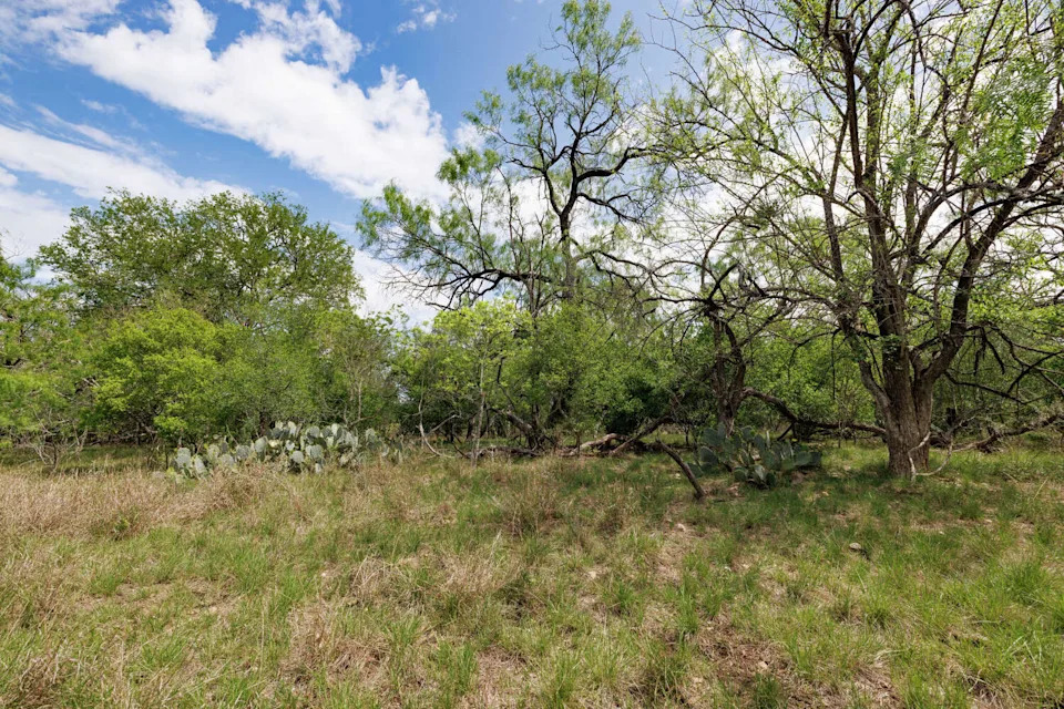 The expansion of Lockhart State Park adds protected land in a fast-growing part of Central Texas. (Sonja Sommerfeld/Sonja Sommerfeld/TPWD)