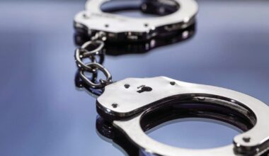 Palestine man arrested for theft of horses following TSCRA investigation | News