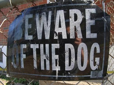 Pair of dog attacks occurred over the weekend in San Antonio
