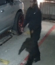 UPDATE: Surveillance Video of Person of Interest Released in Fatal Shooting at 3501 Hollister Road – City of Houston