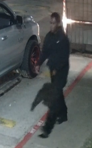 UPDATE: Surveillance Video of Person of Interest Released in Fatal Shooting at 3501 Hollister Road – City of Houston