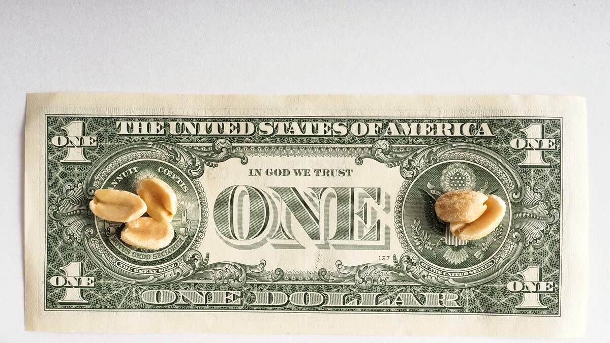 Expert: Retirement Accounts Down? Don't "Sell Low and Buy High!" | NewsRadio 740 KTRH