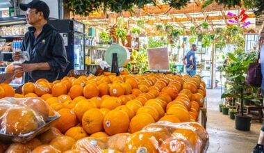 Here's how to grocery shop smarter and live healthier | News