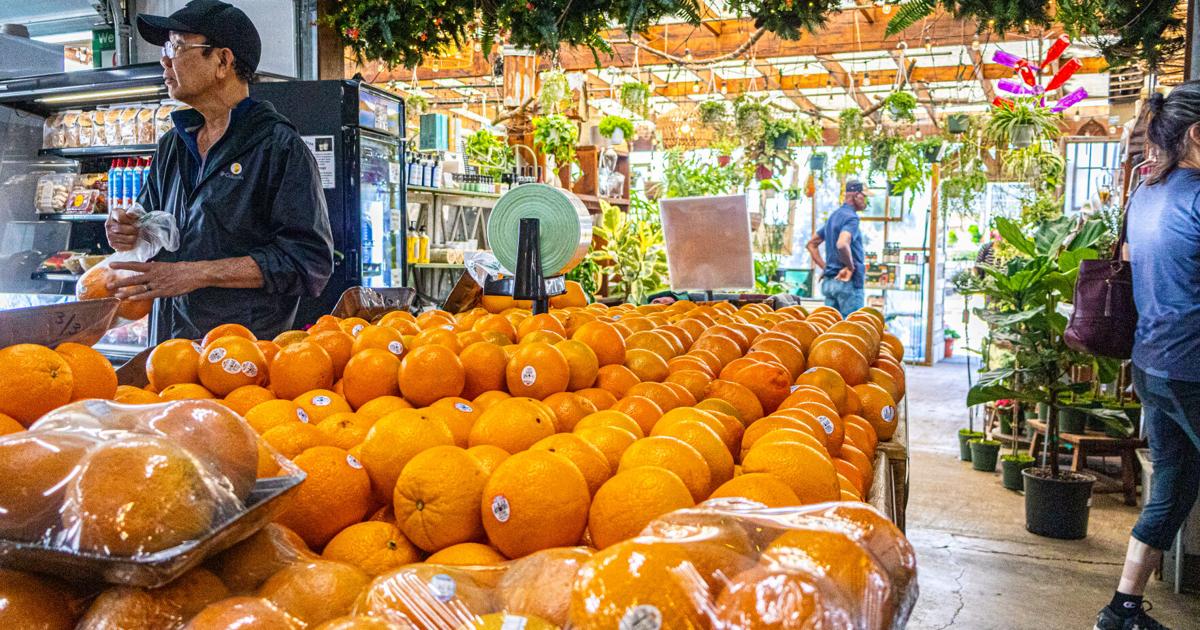Here's how to grocery shop smarter and live healthier | News