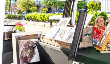 South Street Art Festival brings color to downtown Arlington | News