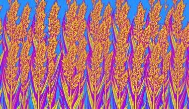 A bold, colorful silkscreen-style illustration of a sorghum plant repeated in a grid pattern, capturing the vibrant energy and innovative spirit of the National Sorghum Foundation
